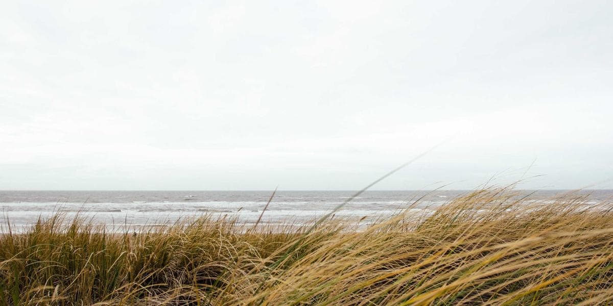 Tideline hero